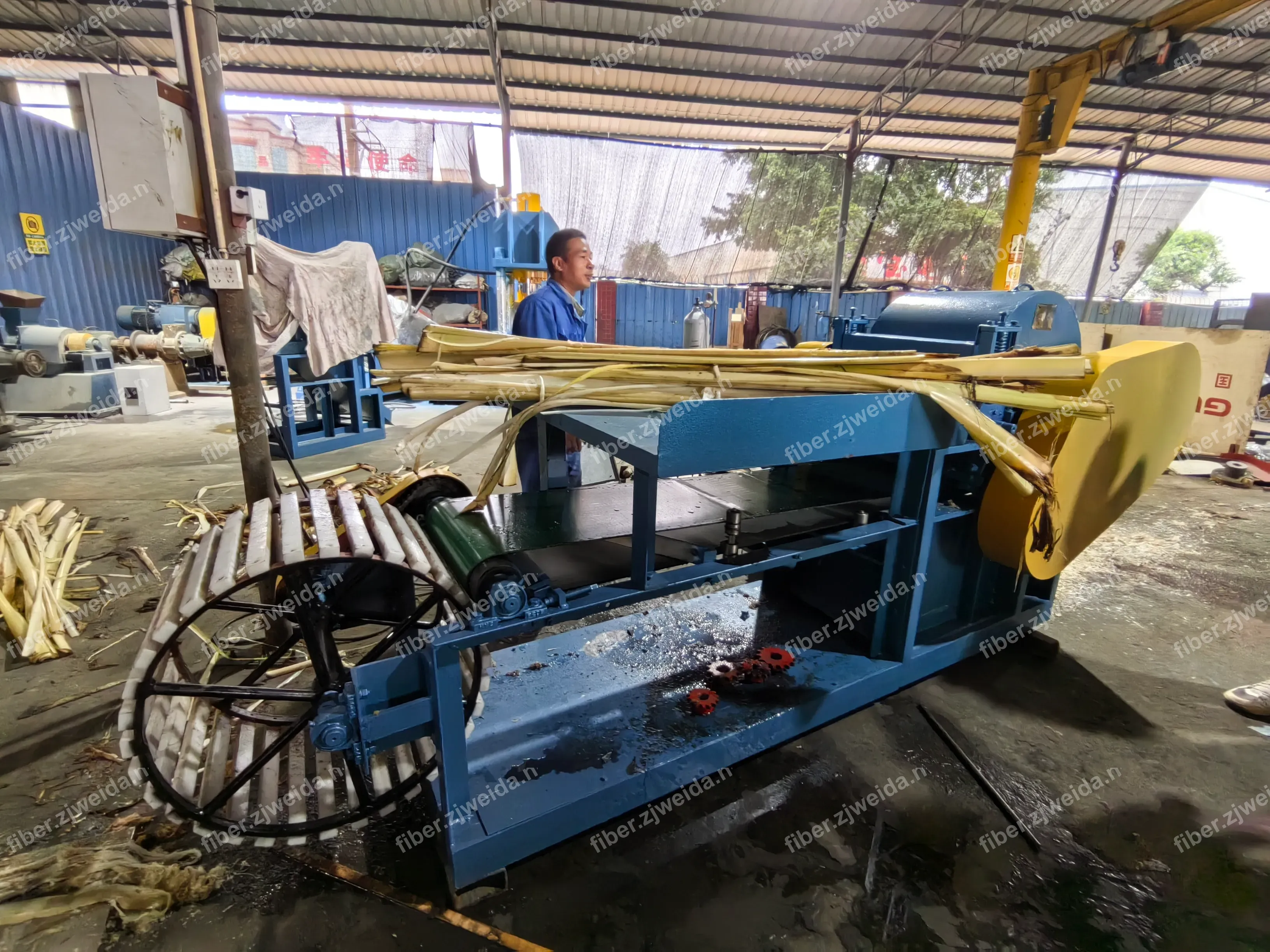 Banana Stem Fiber Extraction & Cleaning Line in Turkey