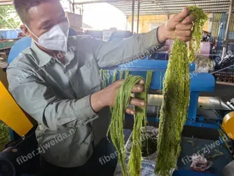 Automatic Pineapple Leaf Fiber Extraction & Cleaning Line