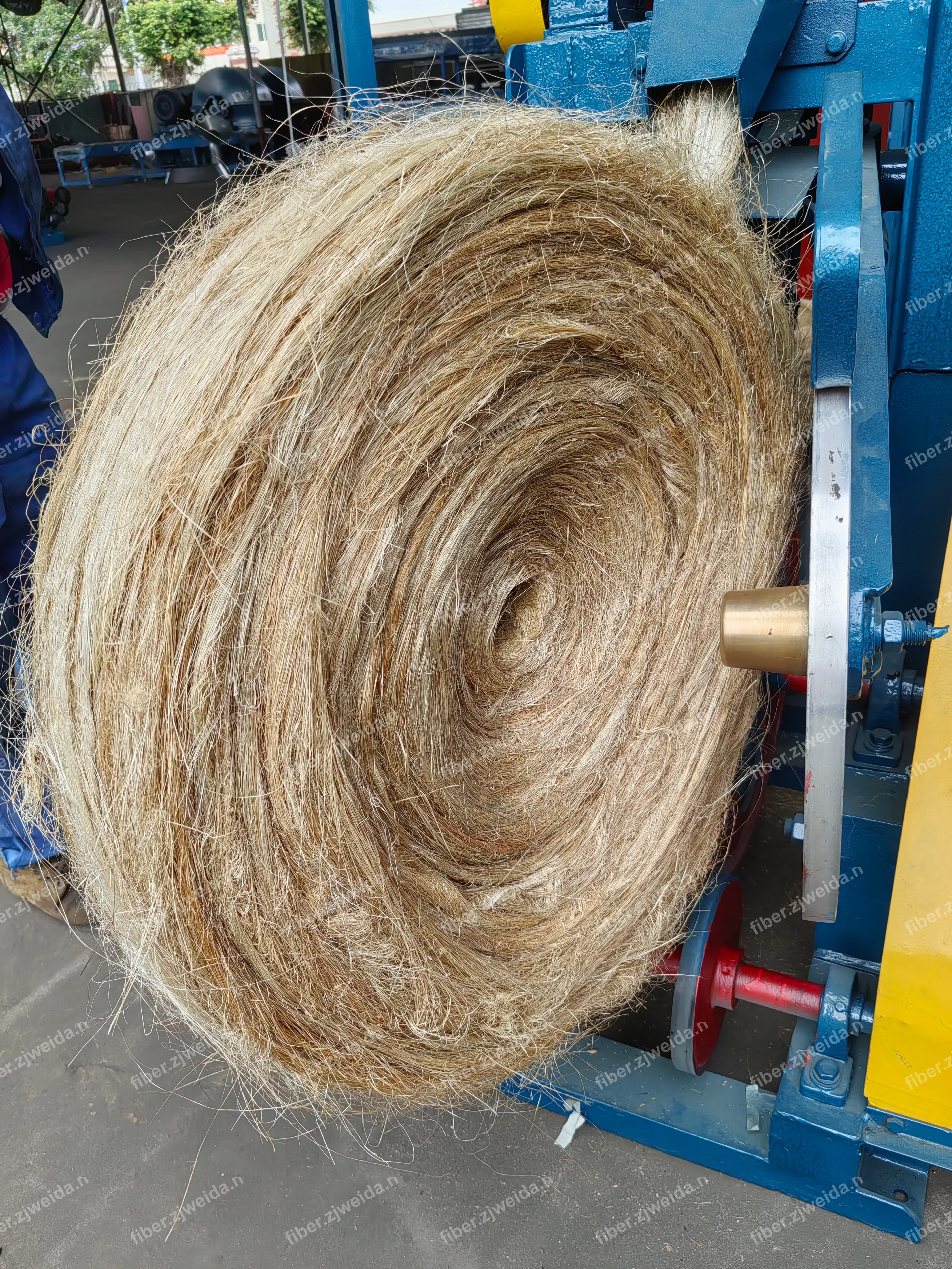 Sisal Fiber Combing and Sliver Winding Line