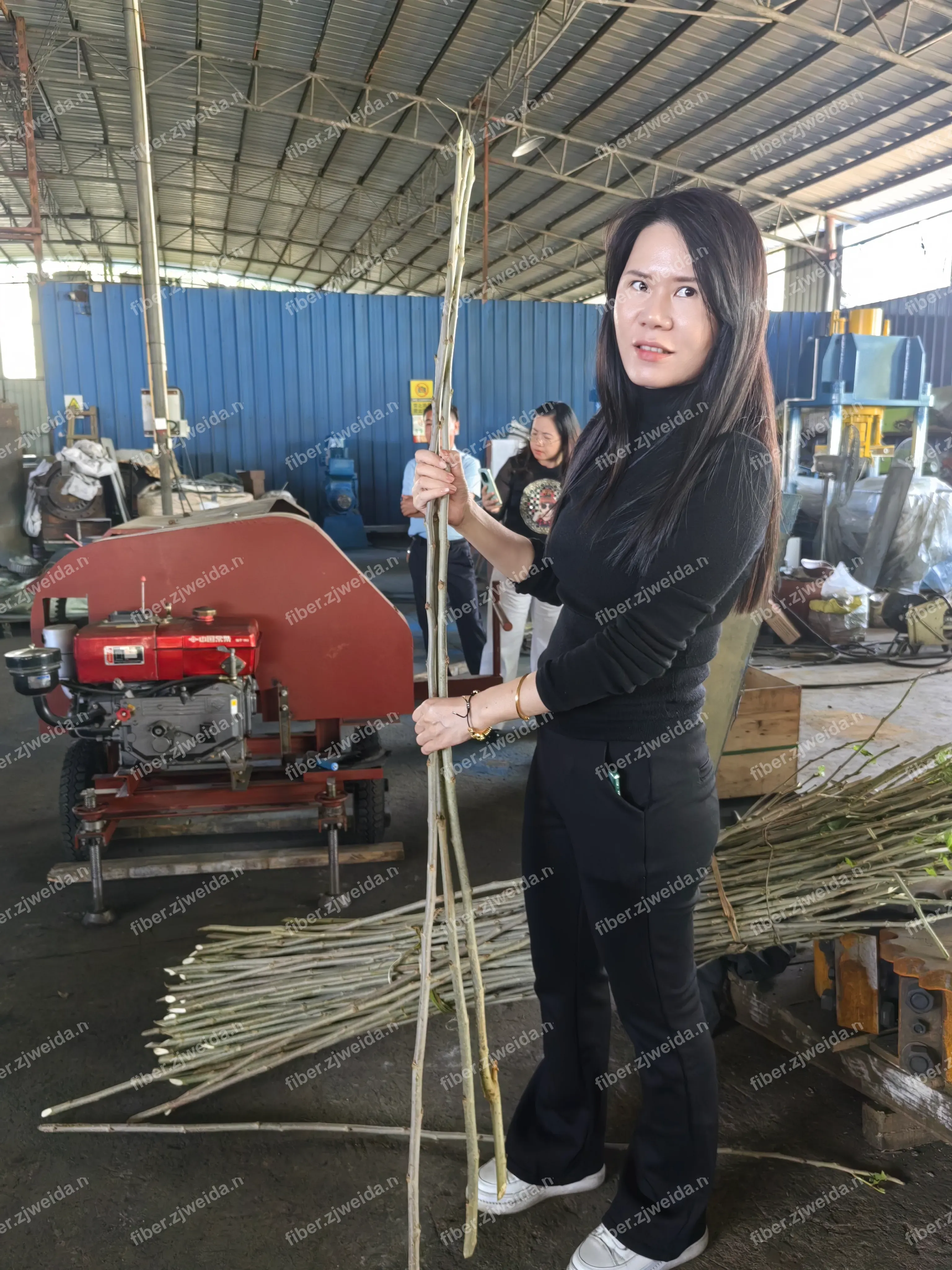 Mulberry Branch Fiber Peeling Machine Test