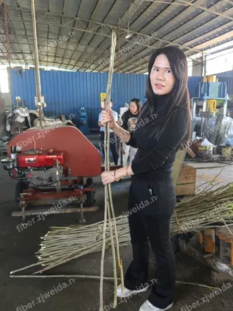 Mulberry Branch Fiber Peeling Machine Test